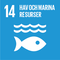 Global målen have och marina resurser