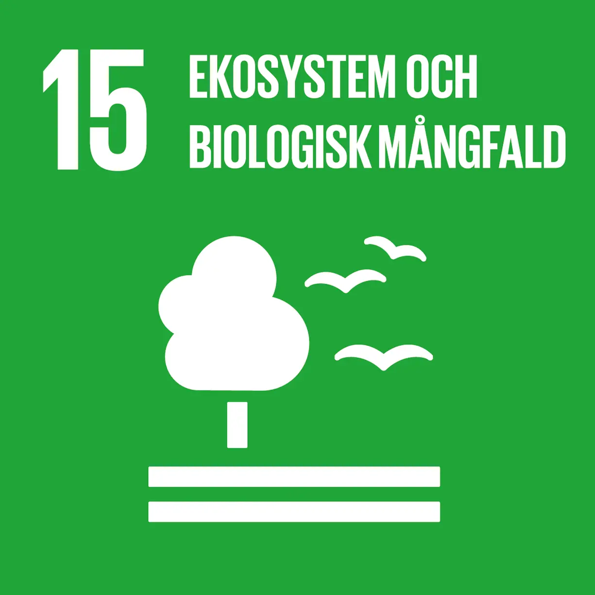 15. Ekosystem